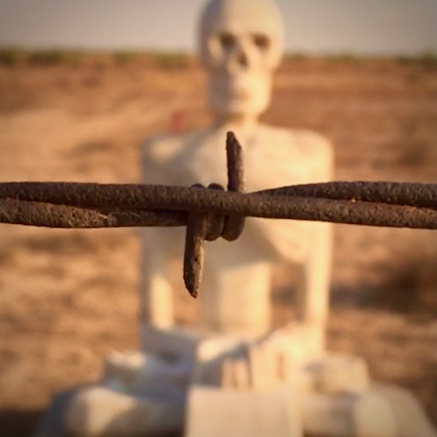 A single barbed wire point with a skeletal Buddha grinning in the background